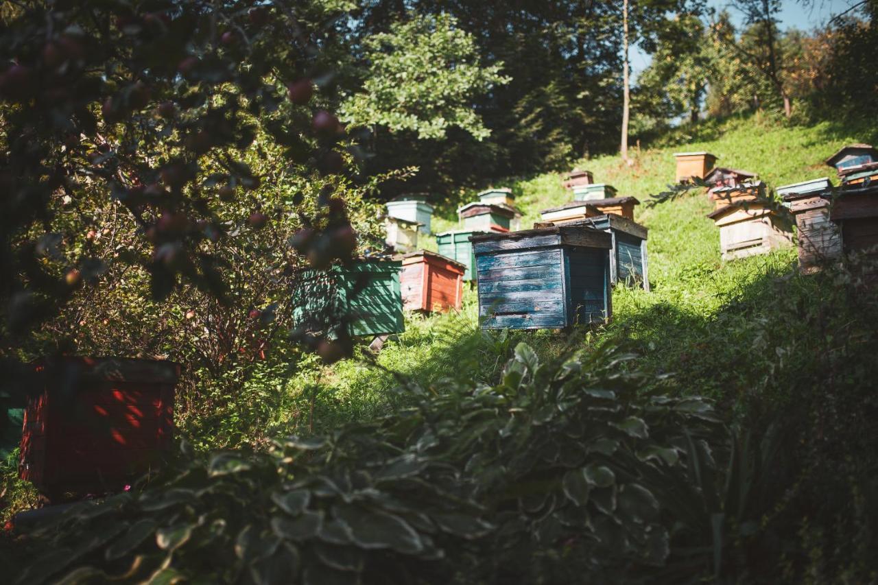 Pasieka - Dom Wypoczynkowy Bacza Exterior foto
