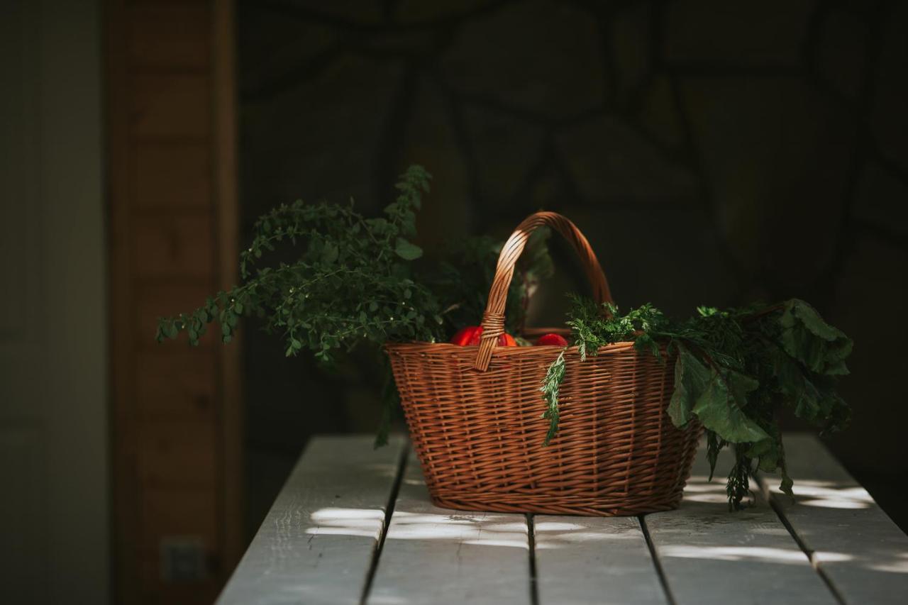 Pasieka - Dom Wypoczynkowy Bacza Exterior foto